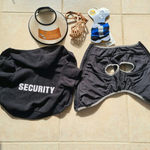 Dog accessory set like new, 5 pieces for small breed