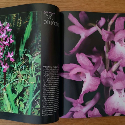 Nature Explore Υπέροχη Ελλάδα albums like new, complete set of 12 issues