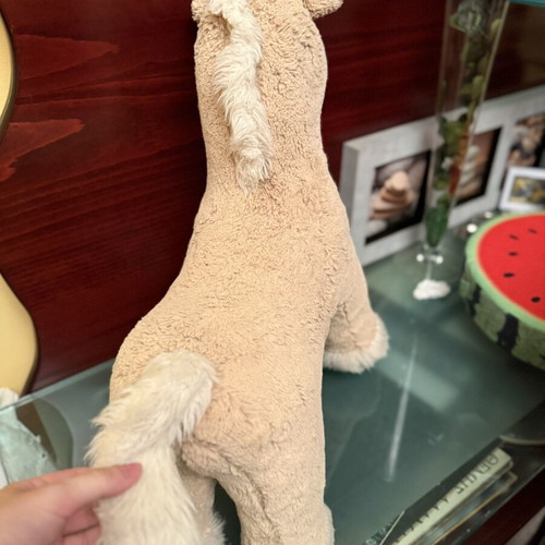 Plush Sheep used, soft and cuddly beige toy