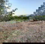 Αγρόκτημα με μικρή κατοικία Μεσσηνία 25000 Ε