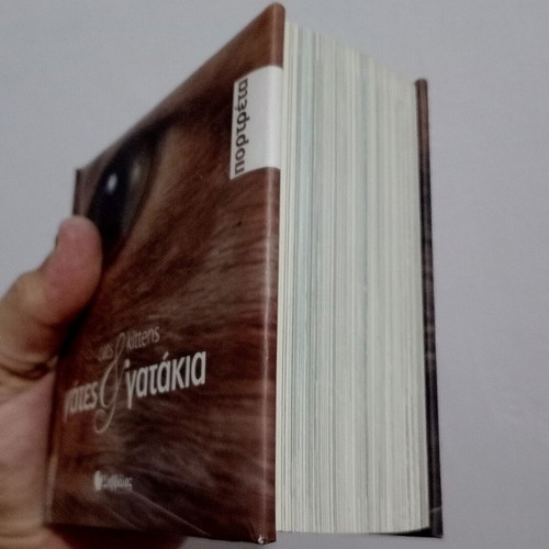 Cats and Kittens book
