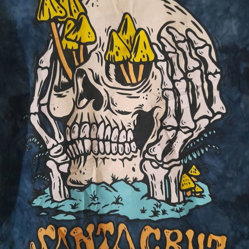 Santa Cruz tshirt new size S