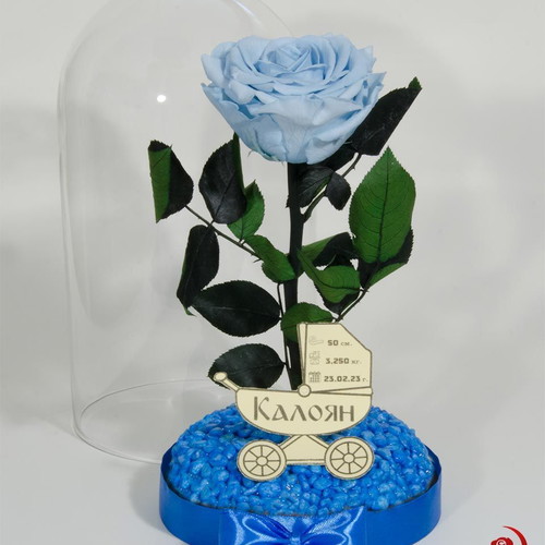 Light Blue Eternal Rose in Glass Dome made to order