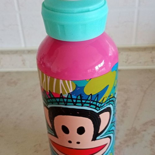 Paul Frank insulated bottle used with signs of wear