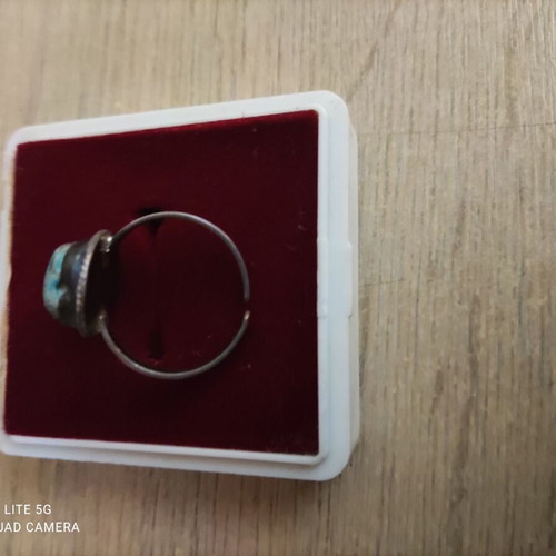 Silver 1000 Grade Ring with Scarab New