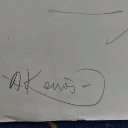 Portrait of a woman by A.Kanas rare artwork