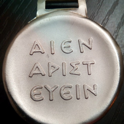 S.E.G.A.S. Aien Aristevein Medal new with case