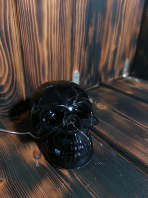 Decorative skull lamp new made of resin glass with light