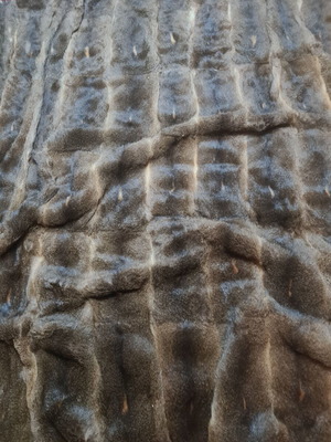 Rock yrax patch rug like new