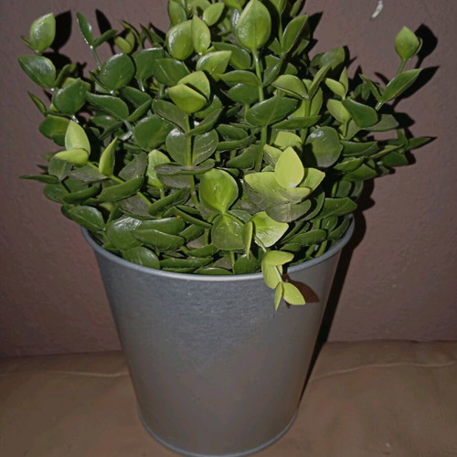 Artificial plant ÅKERBÄR IKEA like new in galvanized metal pot