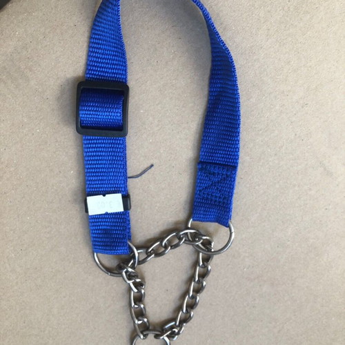 Nylon obedience collar new