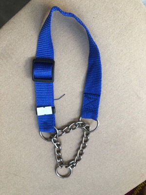 Nylon obedience collar new