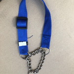 Nylon obedience collar new