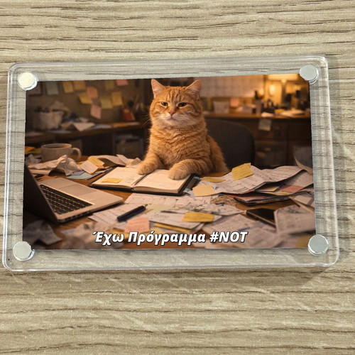 Acrylic fridge magnet 9x6cm 'I Have a Plan' new