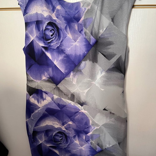 Coast floral printed dress used, size 16 petite