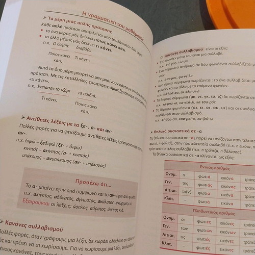 Language Grade 2 Primary School new textbook