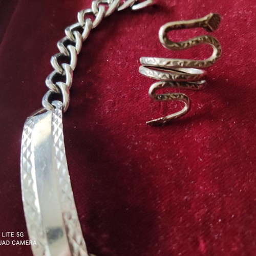Snake ring and gift identity silver, new