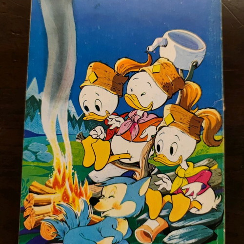 Walt Disney The Book of Little Explorers Volume D like new