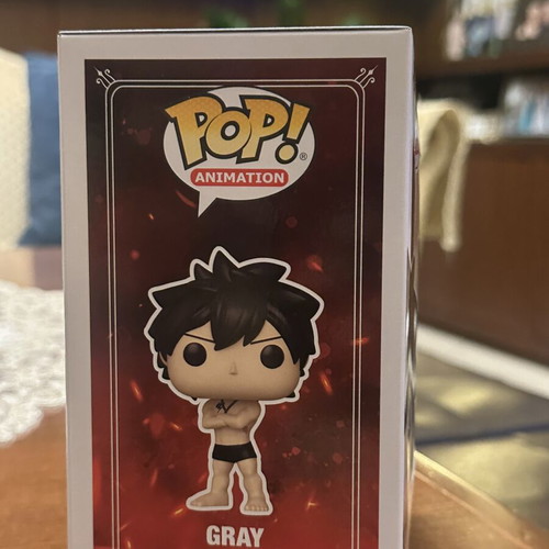 Funko Pop Fairy Tail 100 Years Quest Gray Limited Edition Chase