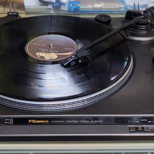 Technics SL-BD22D turntable