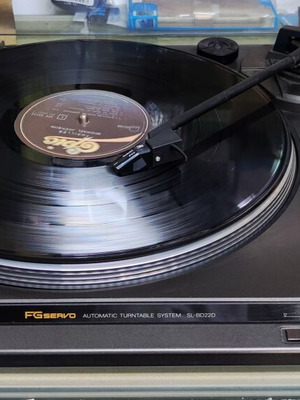 Technics SL-BD22D turntable