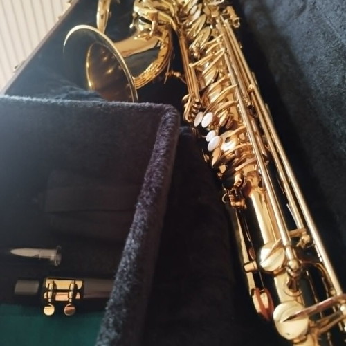 Maxtone SX-69T/GL Tenor Saxophone like new with hard case