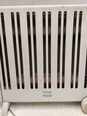 Dimplex Rio convector heater used