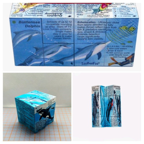 Zoobookoo Cube Book Dolphins and Whales new, educational