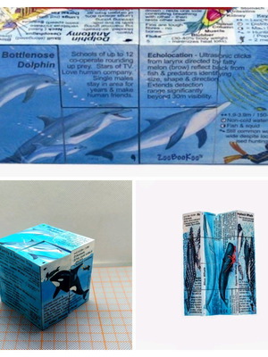 Zoobookoo Cube Book Dolphins and Whales new, educational
