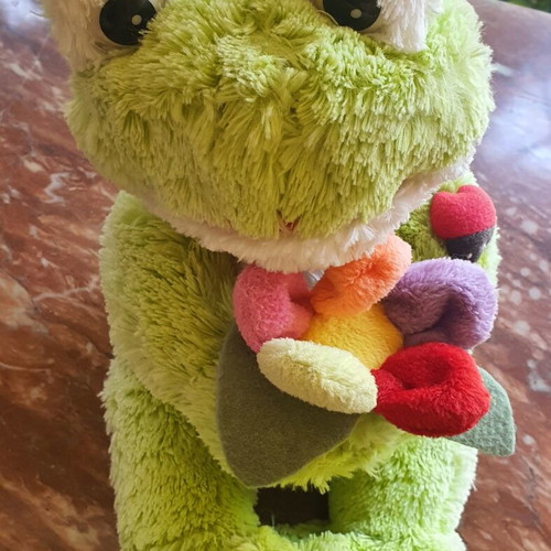 Plush Frog like new with colorful flower