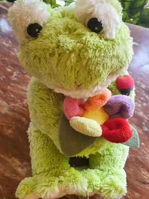Plush Frog like new with colorful flower