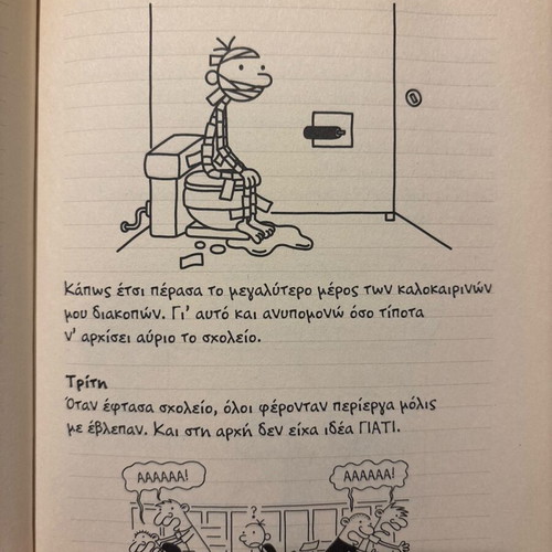 Diary of a Wimpy Kid 2 like new