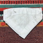 Coast Guard Official Uniform Arm Patch