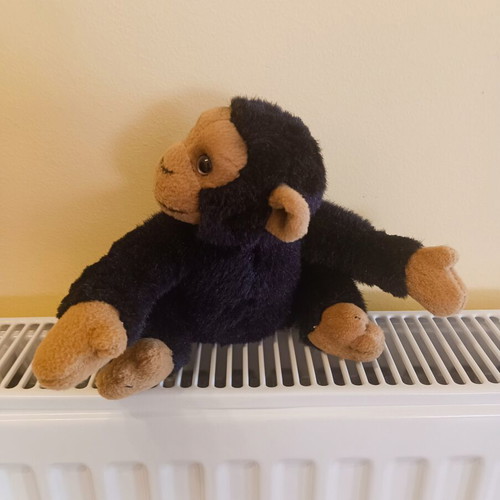 Plush monkey in very good condition