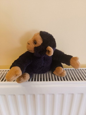 Plush monkey in very good condition