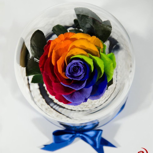 Rainbow Eternal Rose in Large Glass Dome made to order