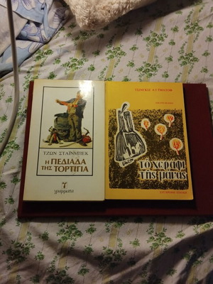 Books by Aitmatov and Steinbeck used, collectible, set of 2