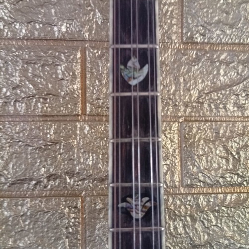 Trichordo Bouzouki like new with pickup