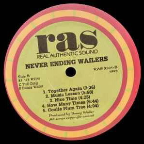 The Never Ending Wailers record used