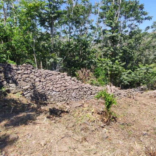Land 520 sqm buildable plot in Mistegna, Lesvos region