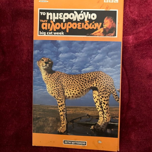 The Big Cat Diary DVD used, BBC collection with 6 DVDs