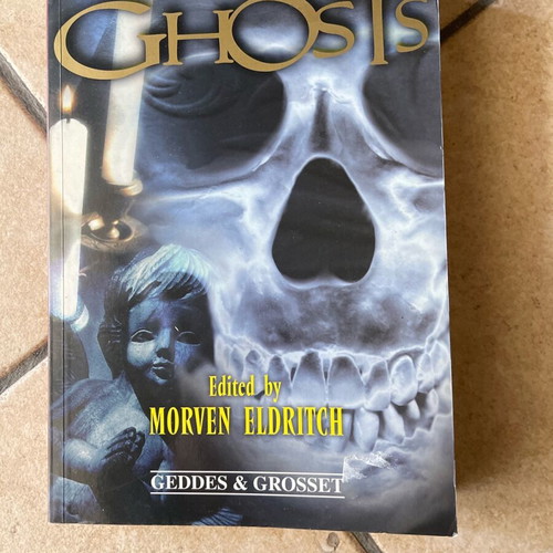 Ghosts book like new, English