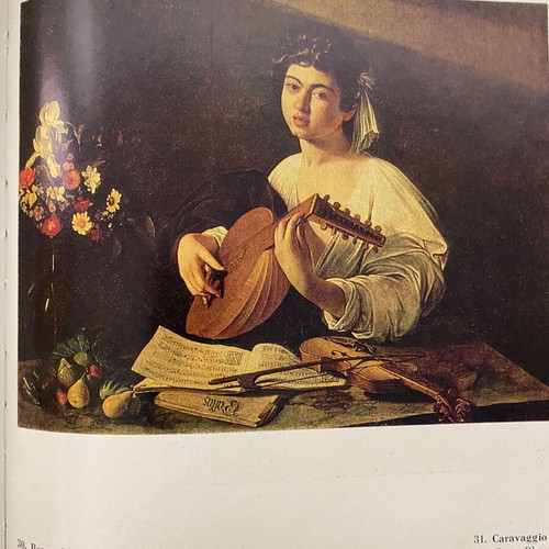 The Hermitage Western European Painting art book like new