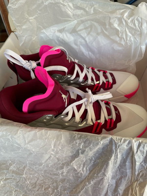 Αθλητικά παπούτσια Nike Zion καινούργια, μέγεθος 43, άσπρο και ασημί