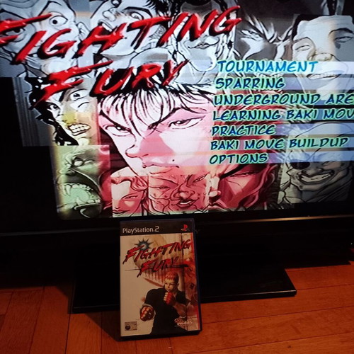 Fighting Fury PlayStation 2 used, complete in good condition