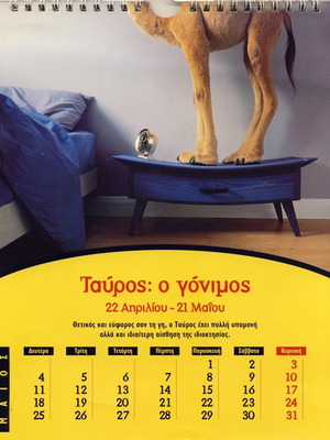 Collectible Zodiac Calendar Camel 1998 new