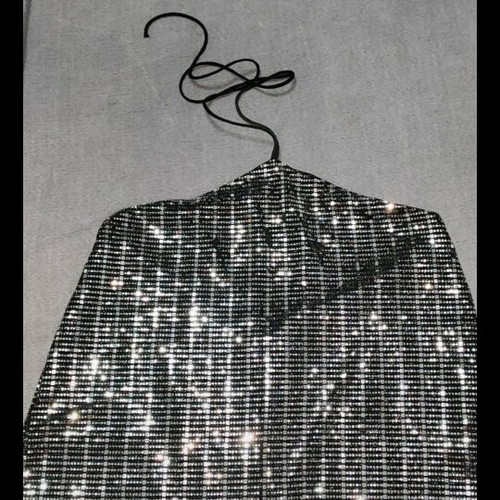 Zara Basic silver top new, lingerie style with shiny sequins, large
