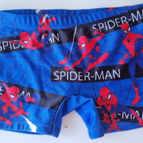 Spider-Man boys' swim shorts, blue with web design