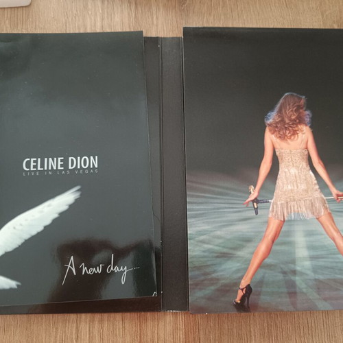 Celine Dion Live in Las Vegas 2 DVD like new