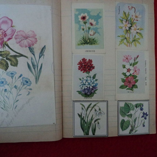 Botana tis Ellados album 1969 used with 60 cards and 3 chromolithographs